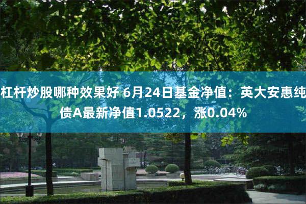 杠杆炒股哪种效果好 6月24日基金净值：英大安惠纯债A最新净值1.0522，涨0.04%