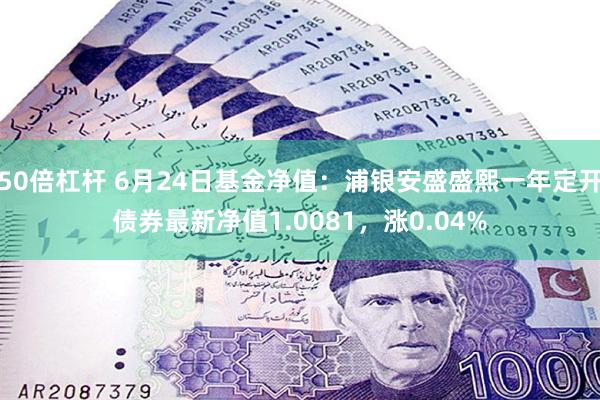 50倍杠杆 6月24日基金净值：浦银安盛盛熙一年定开债券最新净值1.0081，涨0.04%