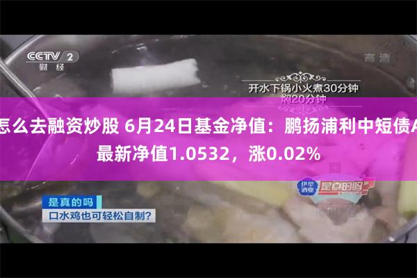 怎么去融资炒股 6月24日基金净值：鹏扬浦利中短债A最新净值1.0532，涨0.02%