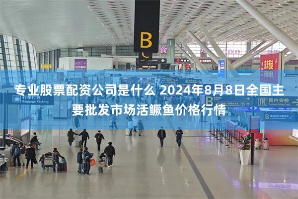 专业股票配资公司是什么 2024年8月8日全国主要批发市场活鳜鱼价格行情