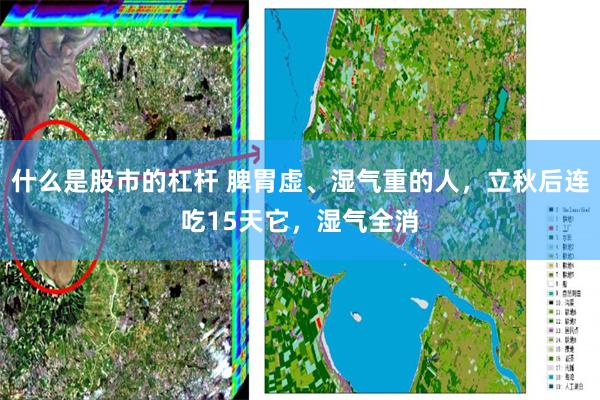 什么是股市的杠杆 脾胃虚、湿气重的人，立秋后连吃15天它，湿气全消