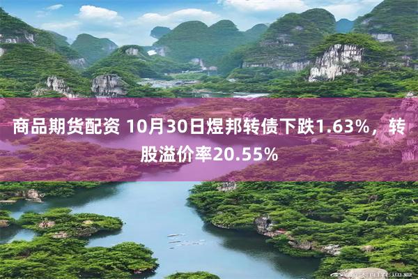 商品期货配资 10月30日煜邦转债下跌1.63%，转股溢价率20.55%