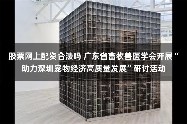 股票网上配资合法吗 广东省畜牧兽医学会开展“助力深圳宠物经济高质量发展”研讨活动