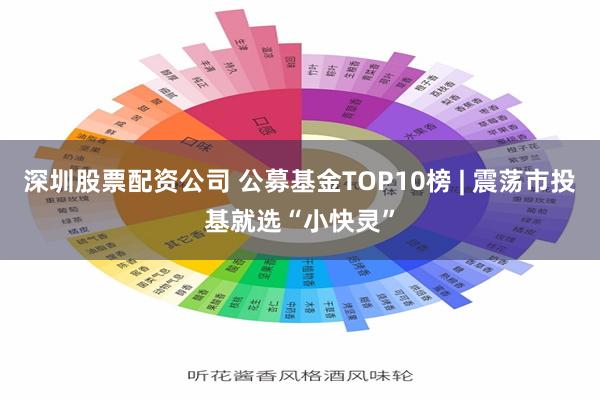 深圳股票配资公司 公募基金TOP10榜 | 震荡市投基就选“小快灵”