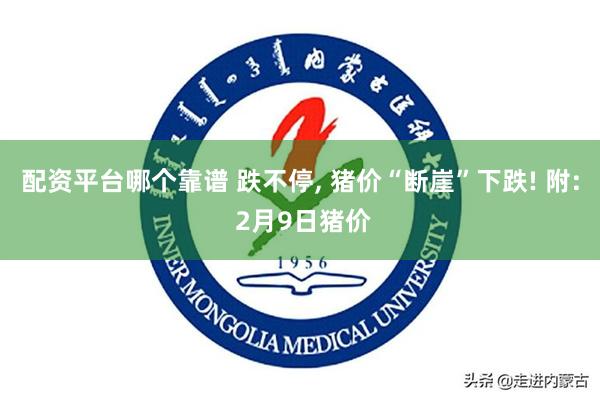 配资平台哪个靠谱 跌不停, 猪价“断崖”下跌! 附: 2月9日猪价