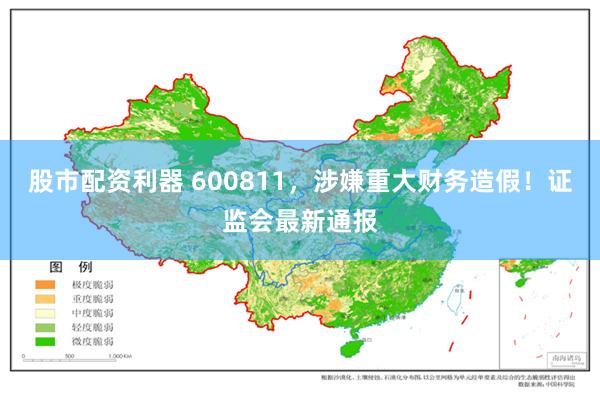 股市配资利器 600811，涉嫌重大财务造假！证监会最新通报